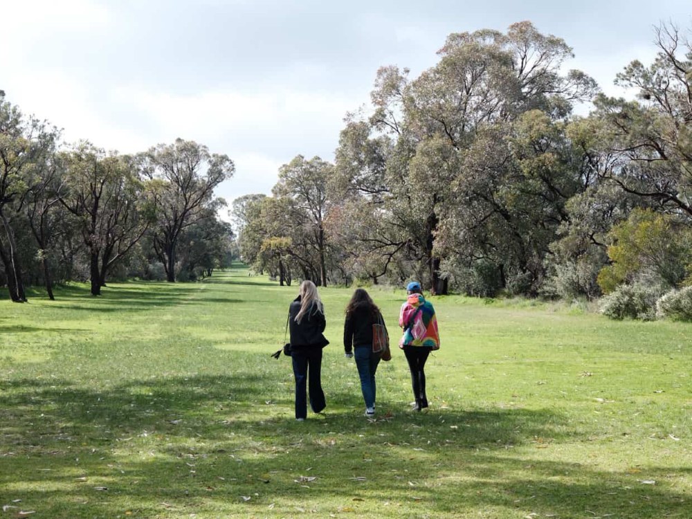 Three Heart First Founders members walking together through bushland parkland